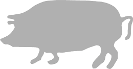 Odoo image and text block